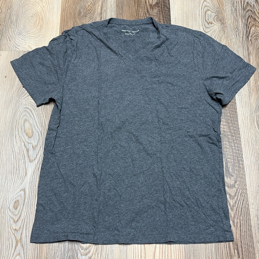 Everlane Uniform gray v-neck T-shirt